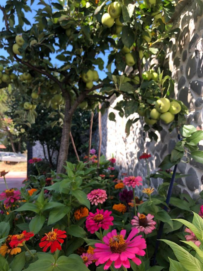 Hotel Apostoli Përmet Екстериор снимка